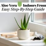 grow aloe vera indoors from leaf